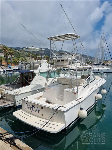 Luhrs 30 Open
