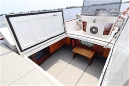 WhatsApp Image 2026-01-09 at 12.05.16