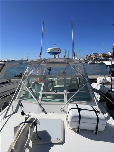 CAROLINA Classic 28 (71)