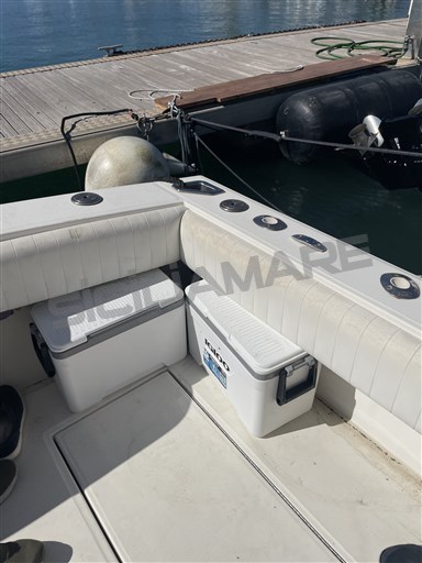 CAROLINA Classic 28 (58)