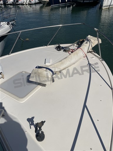 CAROLINA Classic 28 (66)