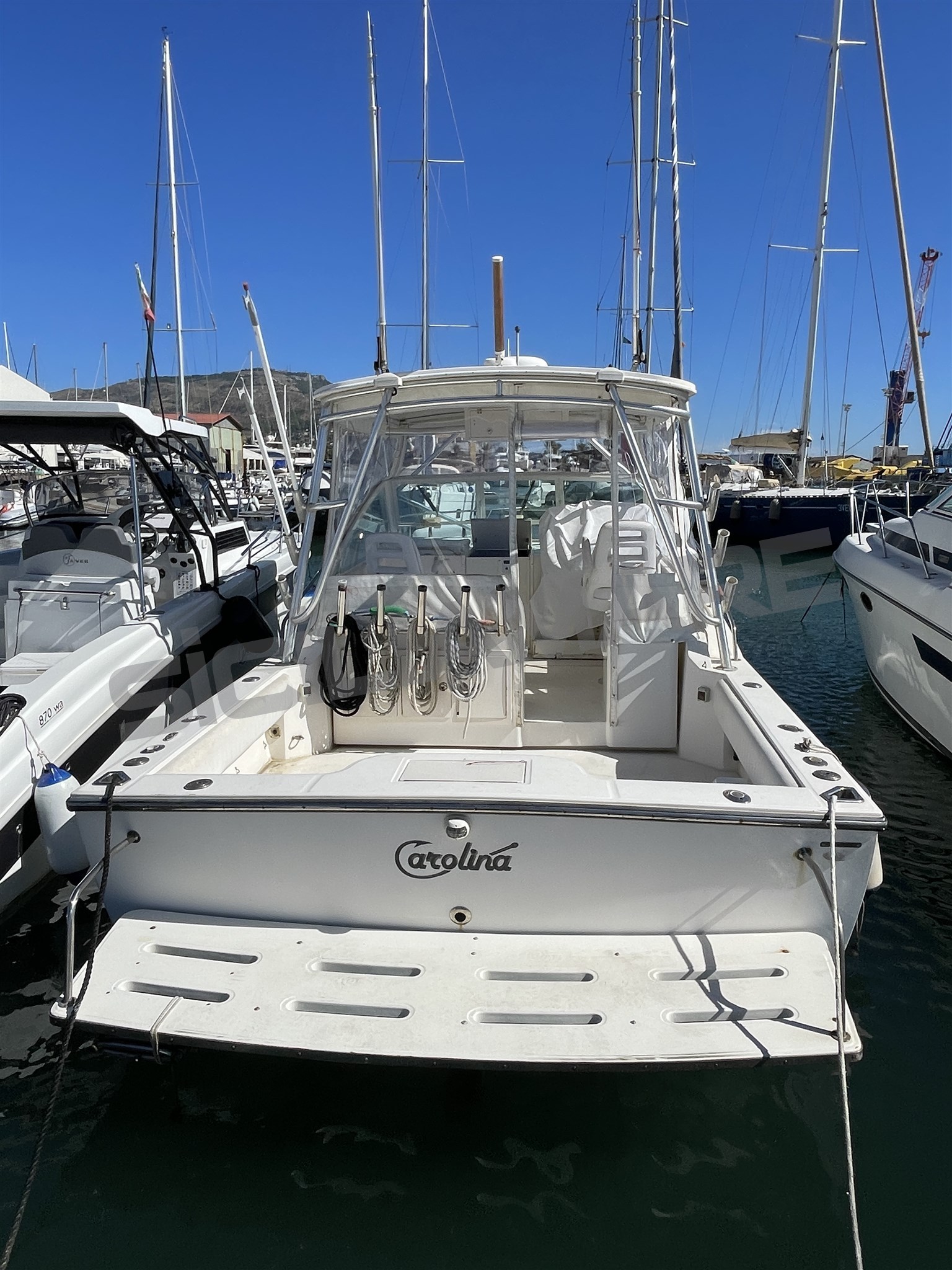 CAROLINA Classic 28 (3)