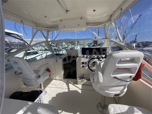 CAROLINA Classic 28 (28)