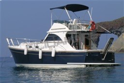 Goldstar 360 fly (16