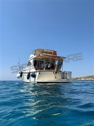 Goldstar 360 Fly (6)