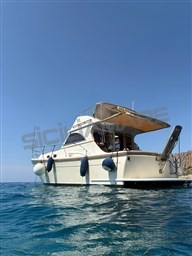 Goldstar 360 Fly (9)