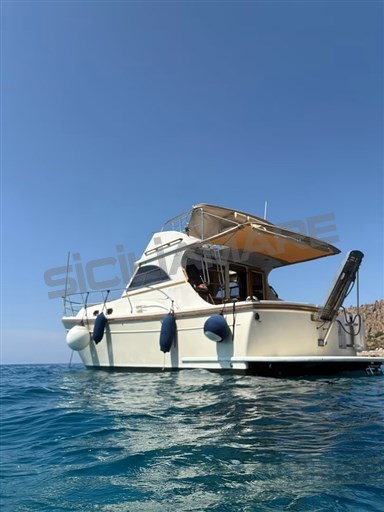 Goldstar 360 Fly (9)