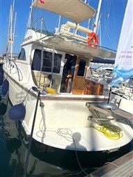 Goldstar 360 Fly (7)