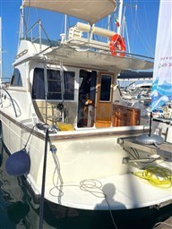 Goldstar 360 Fly (4)