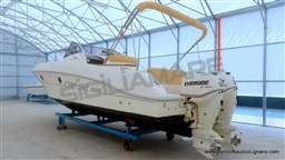 WhatsApp Image 2024-04-07 at 13.08.45