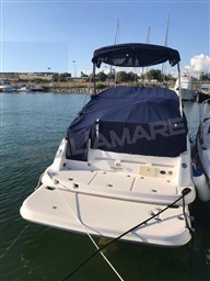 Regal 2665 Commodore (2)