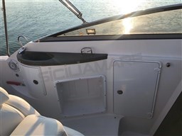 Regal 2665 Commodore (17)