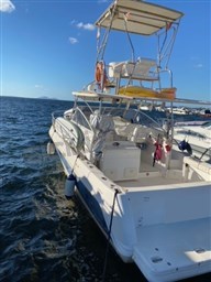 Faeton 980 Moraga (2)