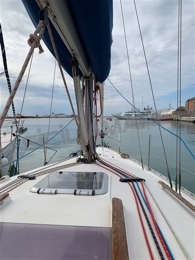 Sun Odyssey 34.2 rif.206587 (8)