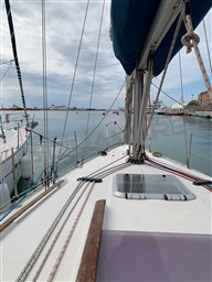 Sun Odyssey 34.2 rif.206587 (16)