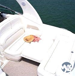 IMG-20240320-WA0004