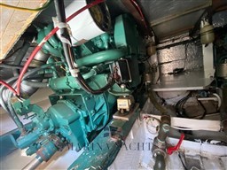 Bertram 35 Fly - Marina Yachts  (17) (Personalizzato).jpeg