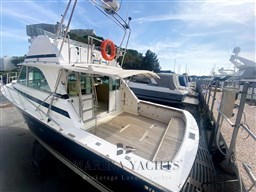 Bertram 35 Fly - Marina Yachts  (2) (Personalizzato).png