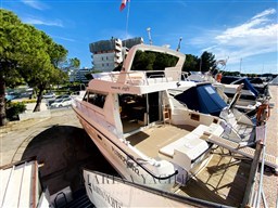 IMG_4557.jpg