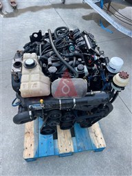 PHOTO-2025-06-26-20-07-04 3