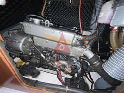 IMG_5482
