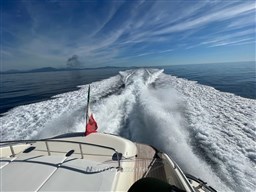 WhatsApp Image 2024-04-06 at 17.12.45