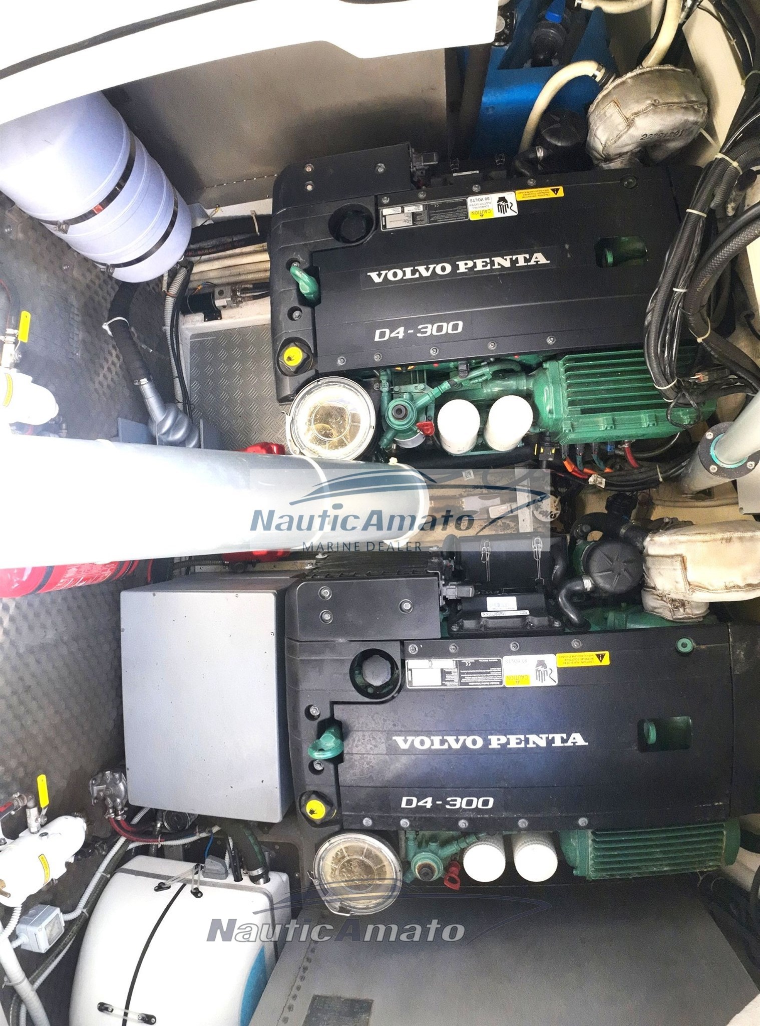 Salpa 38 X (9)_Watermarked.jpg