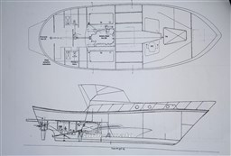 bianca - 11.jpg