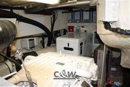 Mochi 64 Dolphin Fly