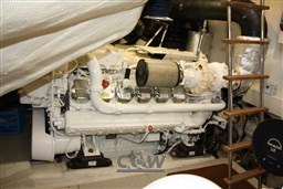 Mochi 64 Dolphin Fly