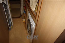 Mochi 64 Dolphin Fly