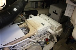 Mochi 64 Dolphin Fly