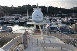 Mochi 64 Dolphin Fly