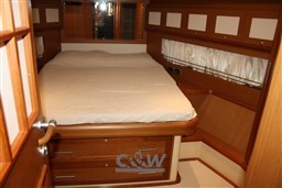 Mochi 64 Dolphin Fly