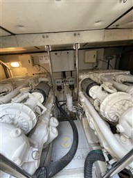 IMG_4706.jpeg