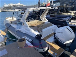 IMG_5006.jpeg