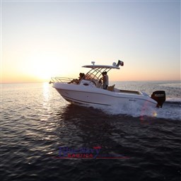 ranieri-evo-25-concessionario-toscana-bluenavy