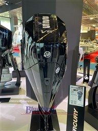 motori-mercury-concessionario-blue-navy