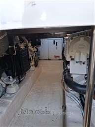 PHOTO-2025-04-06-16-10-00 19.jpg