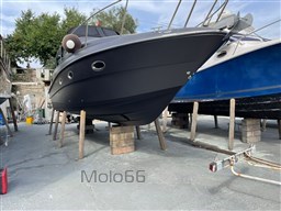 PHOTO-2023-11-12-08-18-31_1