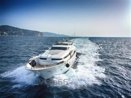 WhatsApp Image 2023-07-24 at 18.53.54 (1)