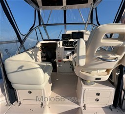 WhatsApp Image 2026-03-08 at 12.04.39