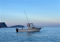 WhatsApp Image 2026-03-08 at 12.04.39 (1)