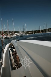IMG_1182.jpeg