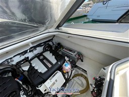 55619370-8f65-4743-8695-80bb455a7938