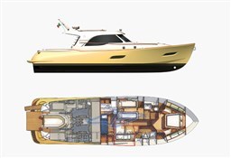 Layout Dolphin 54