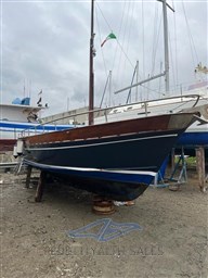 WhatsApp Image 2024-02-02 at 16.15.03.jpeg