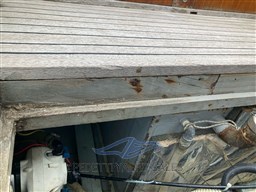 WhatsApp Image 2024-02-02 at 16.00.52.jpeg