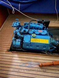 7481354_20200615035509253_1_XLARGE.jpg