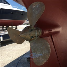 PHOTO-2025-03-12-04-42-36 5